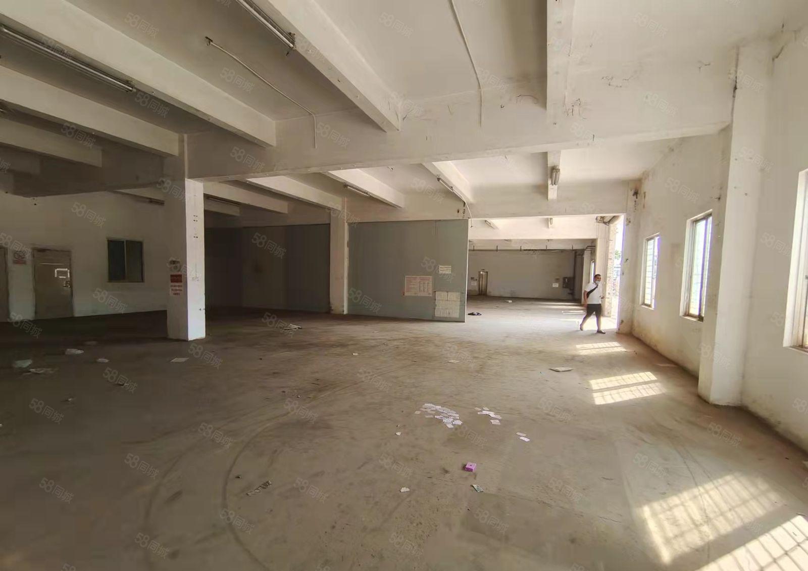 观澜君子布环观南路独院3400平方对外出租