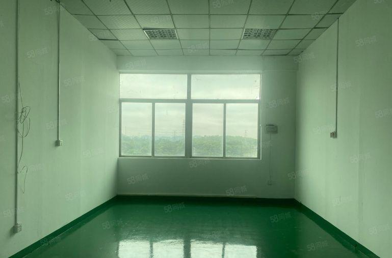 观澜樟坑径，原房东厂房500平出租，全新精装修