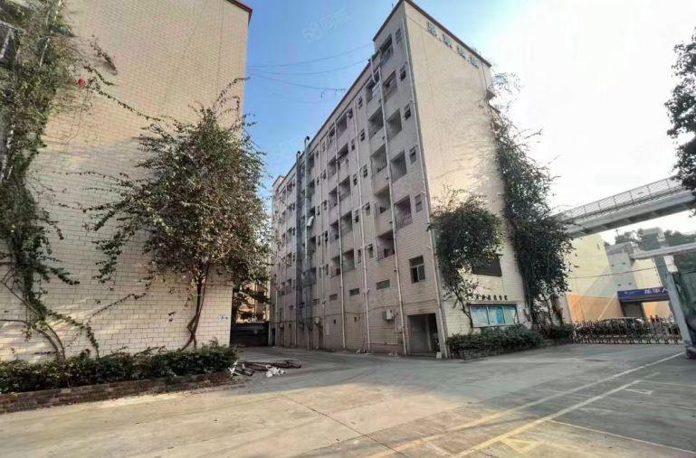 观澜机荷高速红本独院厂房6600平方招租