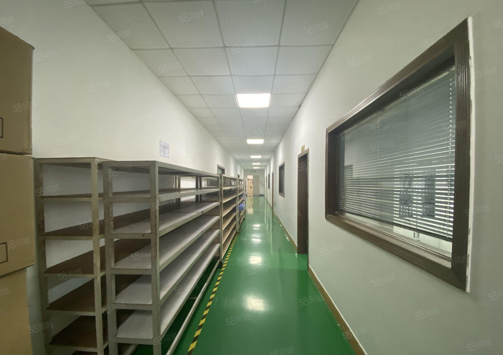 龙华观澜原房东楼上1650平精装修整层无尘车间园区厂房出租