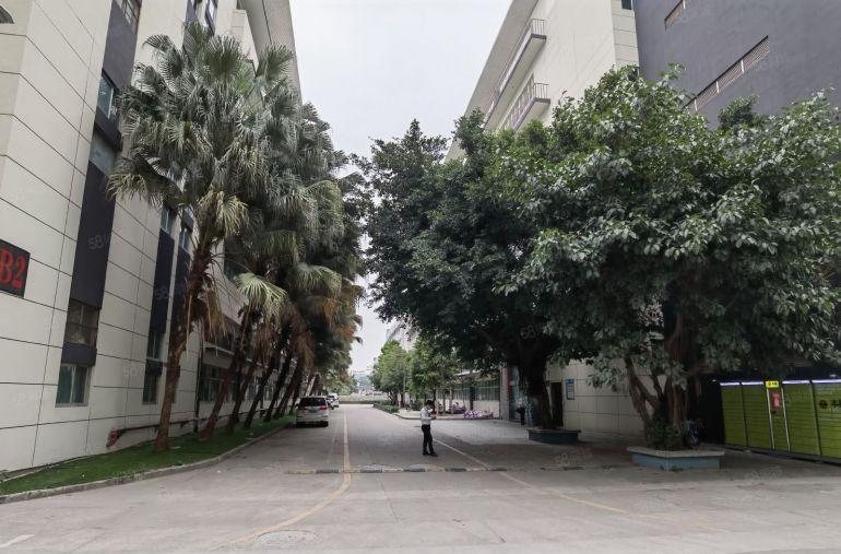 龙华新出原房东独院6000平厂房仓库出租分租能办环评交通方便