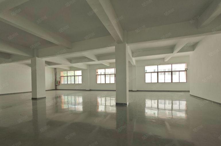 观澜牛湖原房东独门独院厂房出租电商一楼仓库300平起可分租