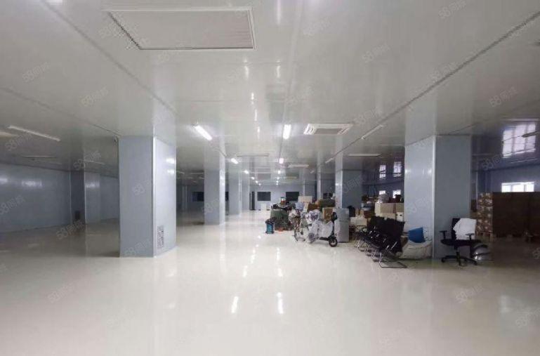 观澜高新科技园1800平厂房出租带无尘车间全新装修可分租