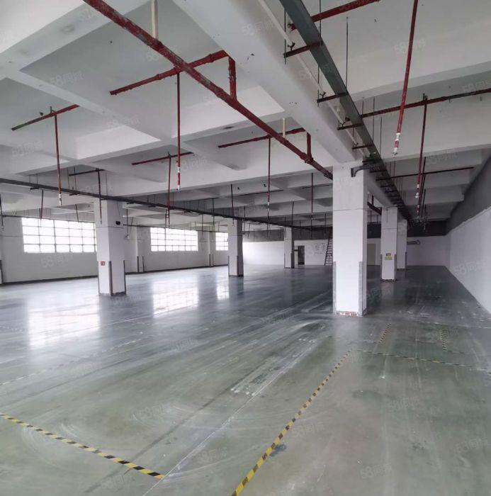 观澜章阁1000平方厂房业主直租，首月租金立减百分之10