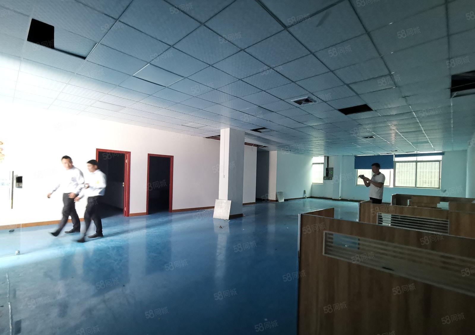 龙华大浪工业园1100平带精装修办公室仓库一楼厂房出租可分租