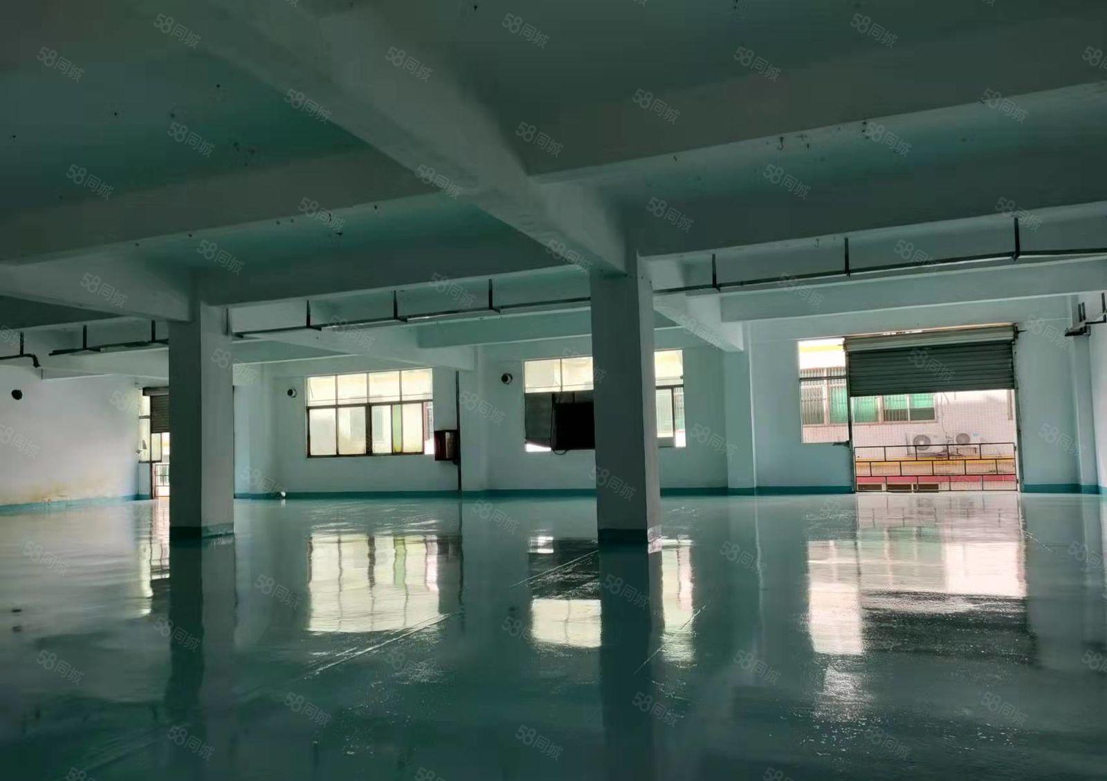 龙华大浪浪口新出楼上1200平厂房出租