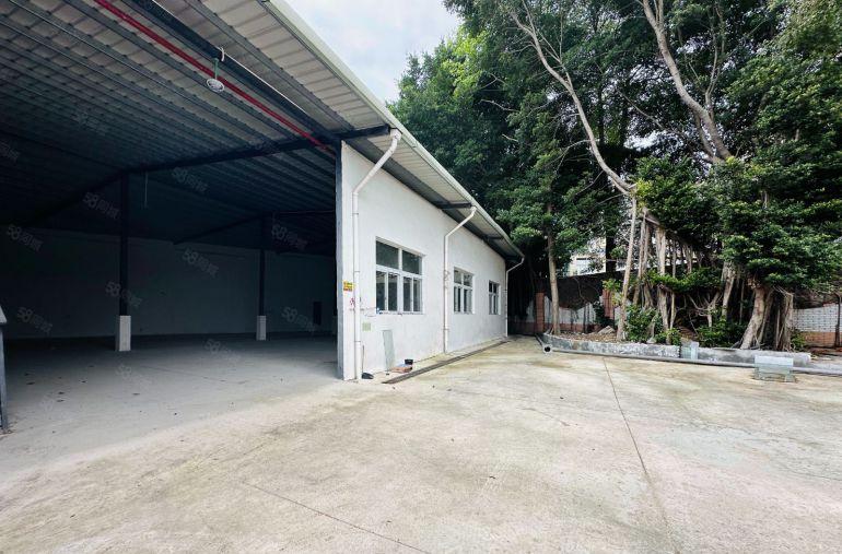 龙华元芬单一层独院钢构2500平出租层高7米近地铁站好招工