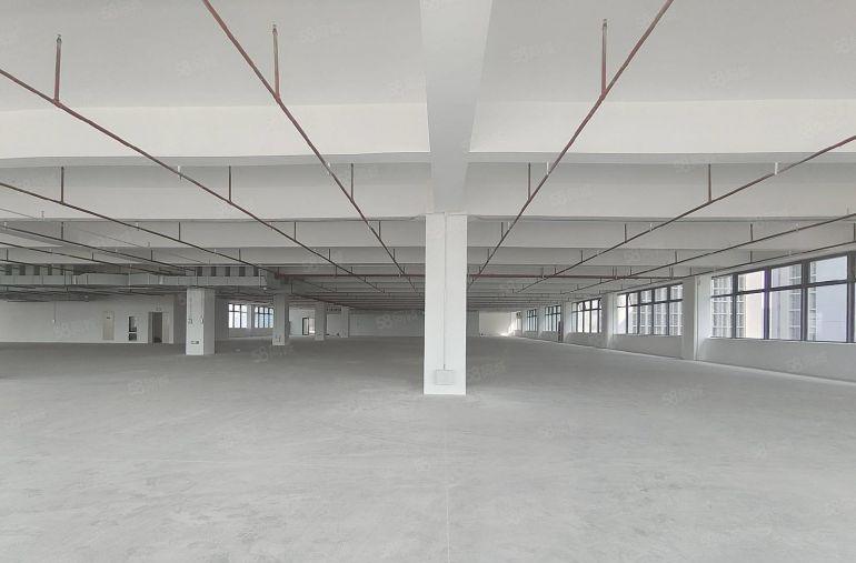 开发商直租红本厂房5000平方出租大小可分租可办环评交通便利