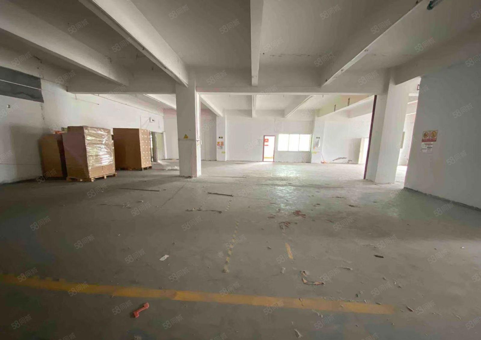 龙华大浪嘉安达大厦旁720平厂房出租