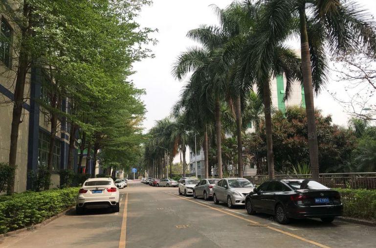 厂房仓库出租龙华油松电商园一楼500至2千平起租原房东直租