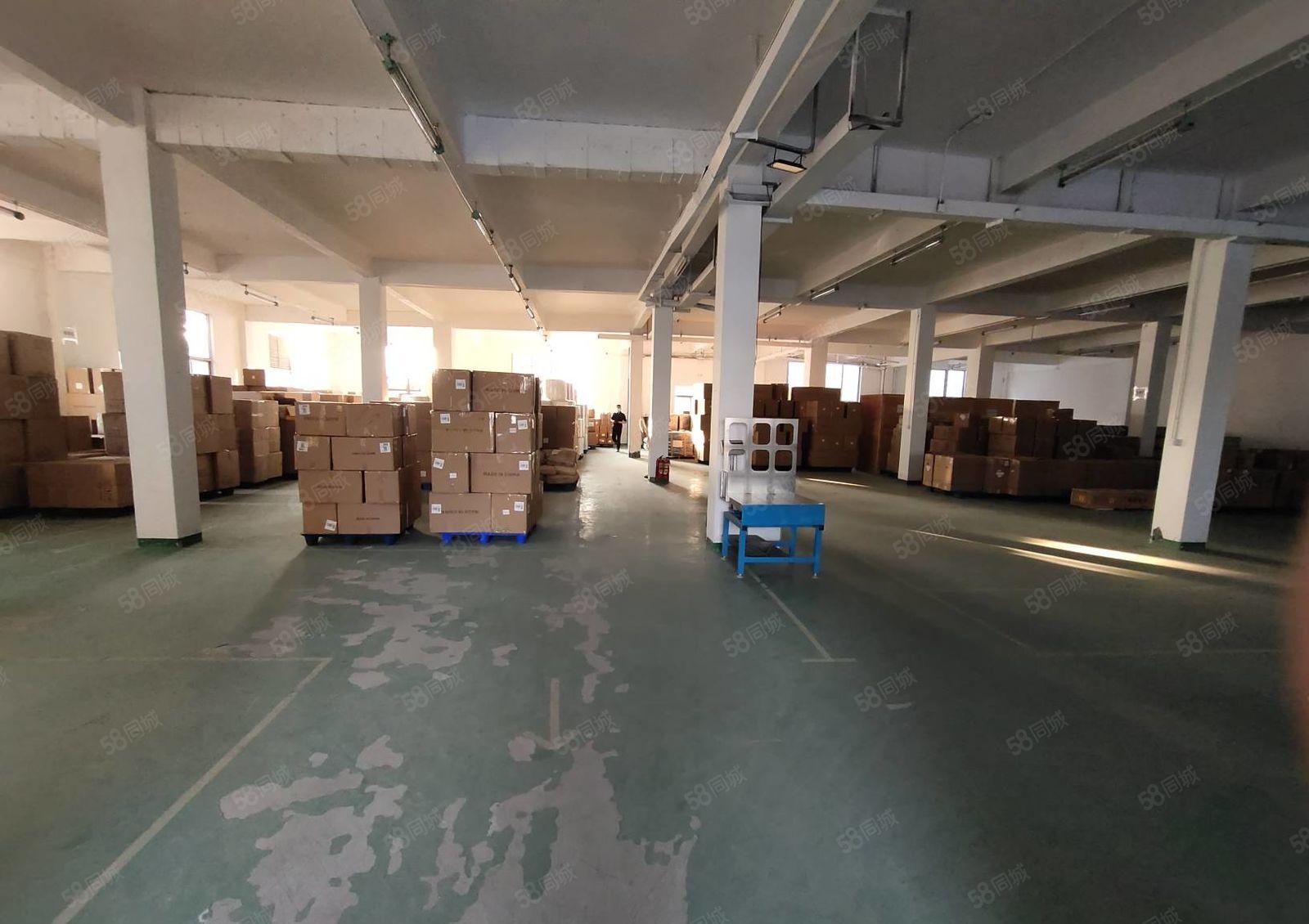 观澜牛湖原房东厂房出租一楼1430平方使用7成可进17.5米