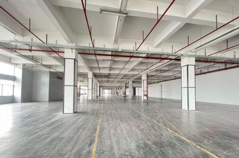 五吨电梯30000平方招租，带红本