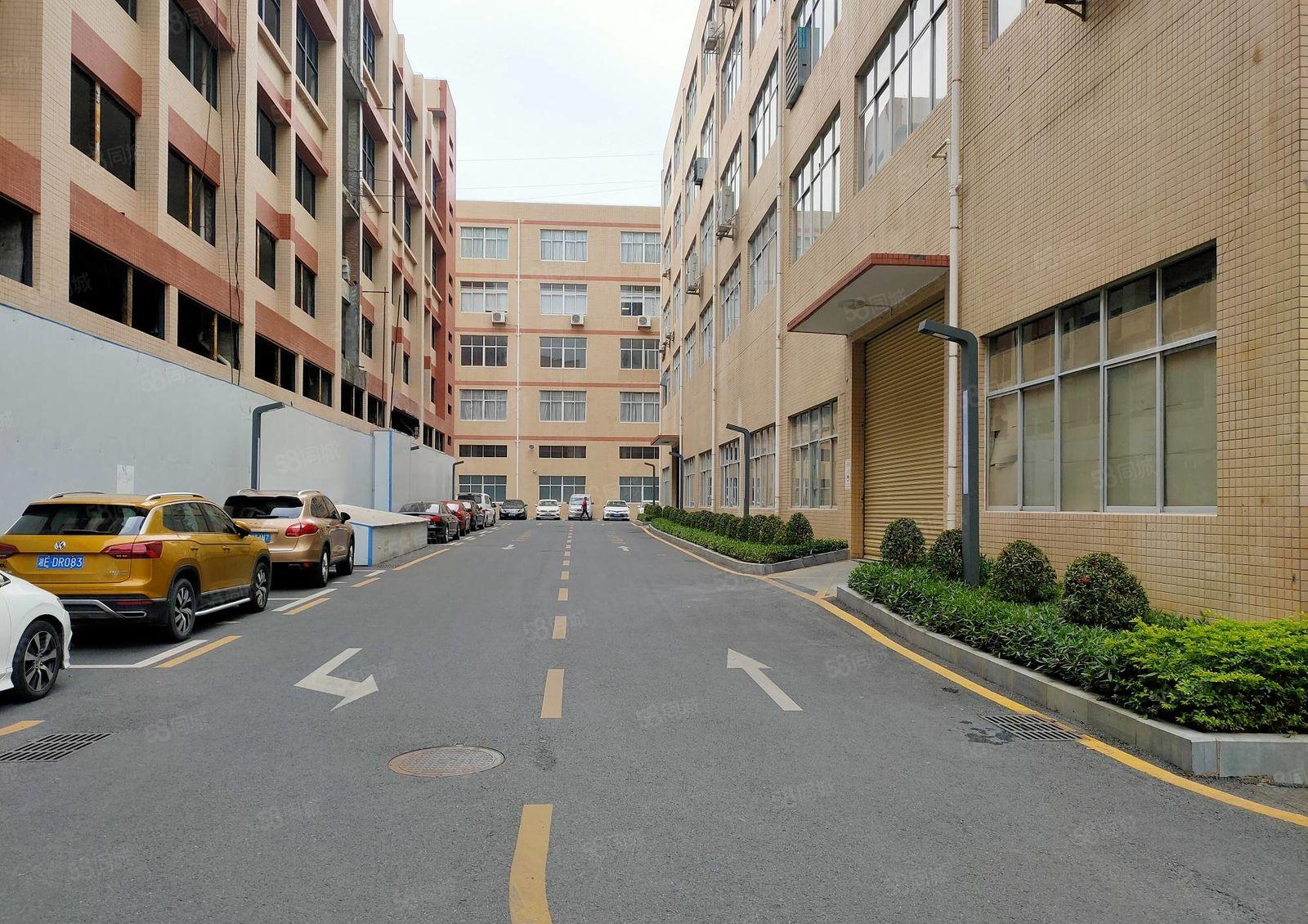 龙华红本独栋5500平厂房出租分租大浪工业园一楼仓库低价出租