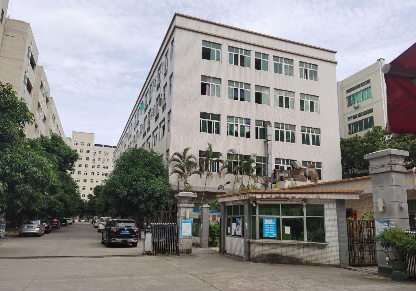 300平分租龙华大浪工业区独院6000平厂房仓库出租1楼分租