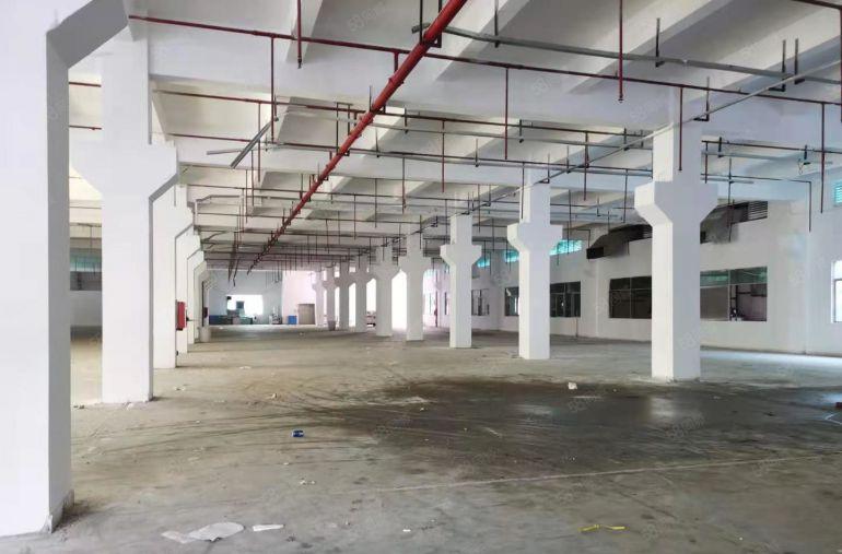 特价20元龙华一手房东一楼3000平带牛角空地大厂房仓库出租