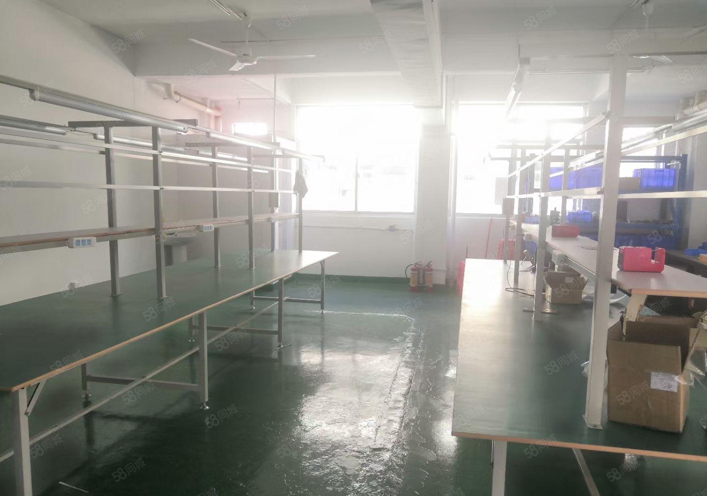 大浪厂房22元180平200平260平280平450平招租