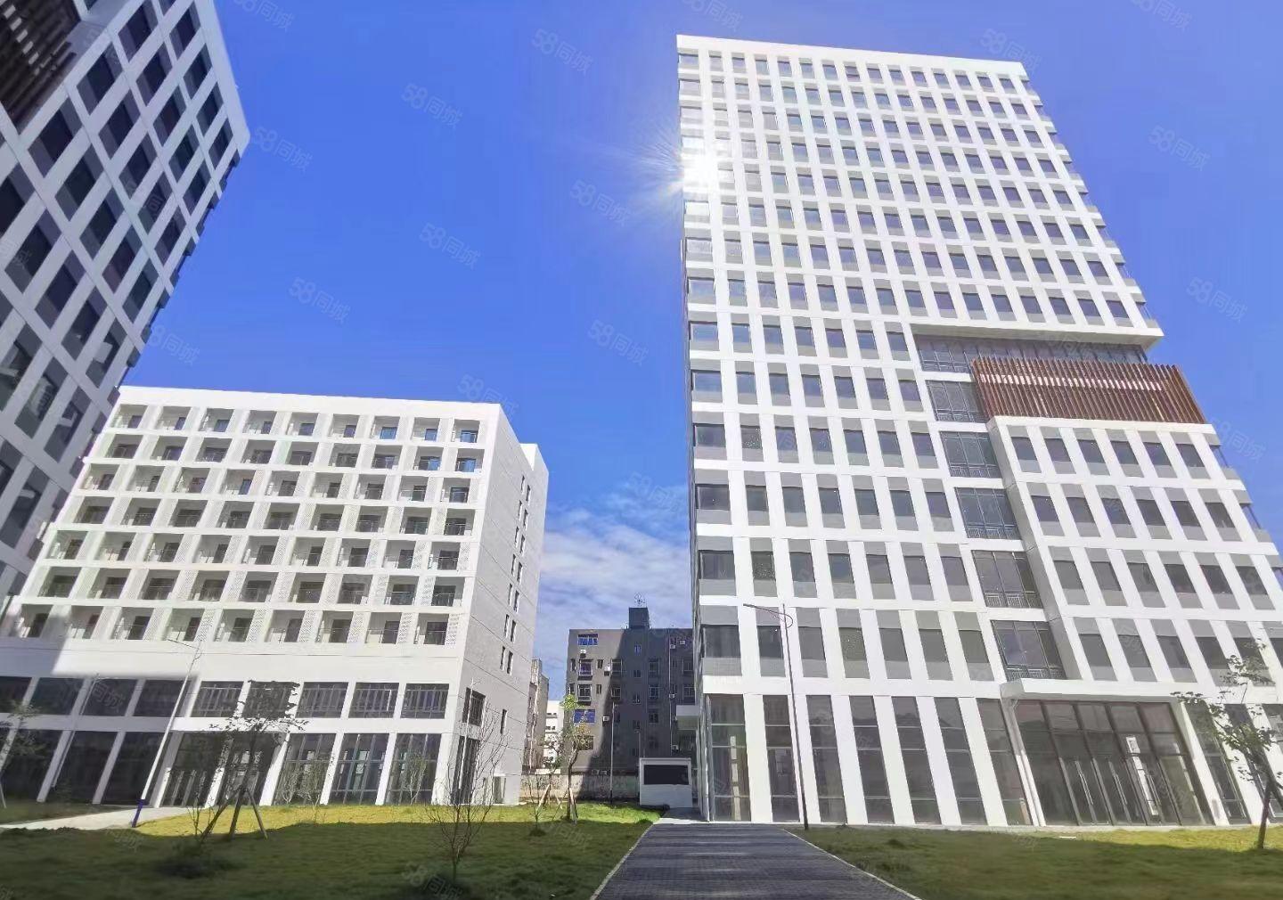 观澜全新高端数字创新园大小面积招租