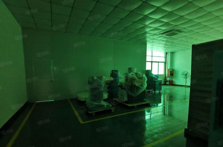 1100平精装标准厂房，龙华地铁附近，原房东直租，9成使用率