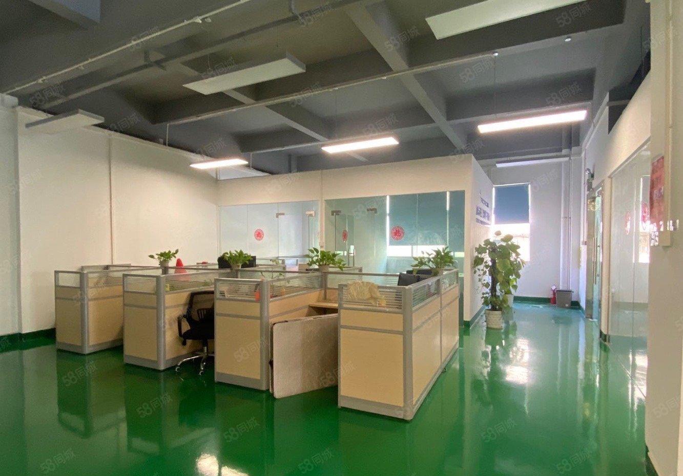 观澜低价1000平精装一楼二楼仓库出租办公室无尘车间厂房出租