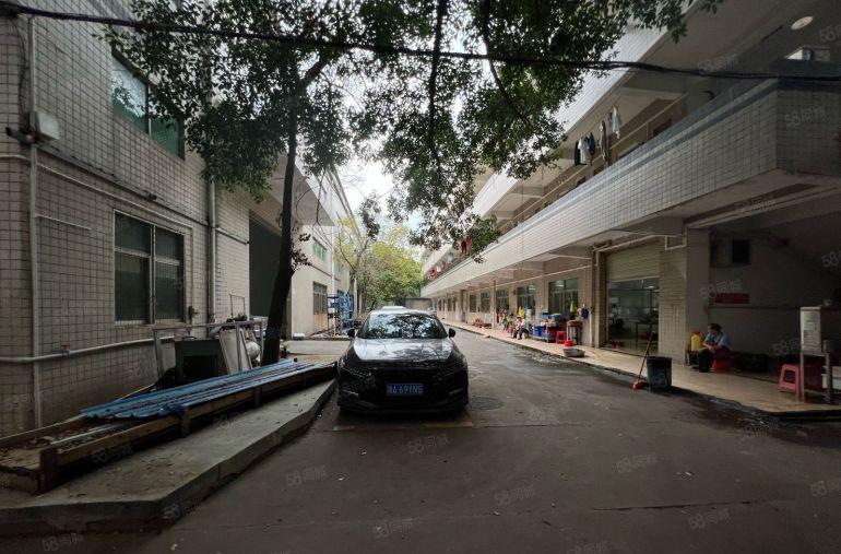 观澜原房东花园式独院厂房8500平方出租层高6米托头随进