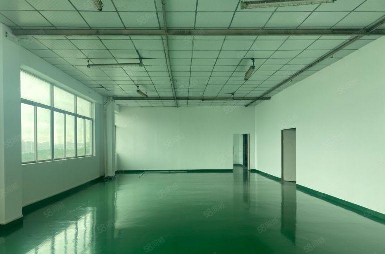 龙华大浪全新装修厂房，小面积130平起分租