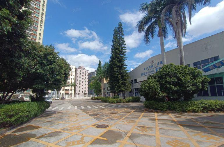 可分租龙华富士康旁独院13800平厂房仓库出租有办公楼钢构