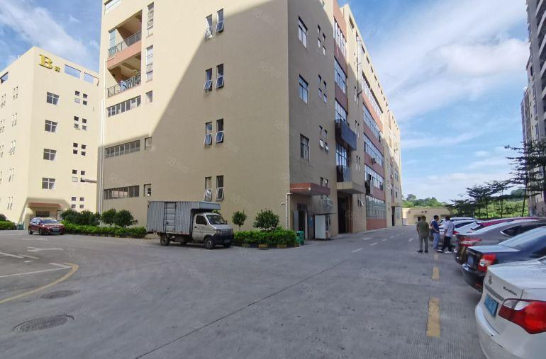 龙华地铁口原房东实际面积出租独门独院厂房4800平大小面积分