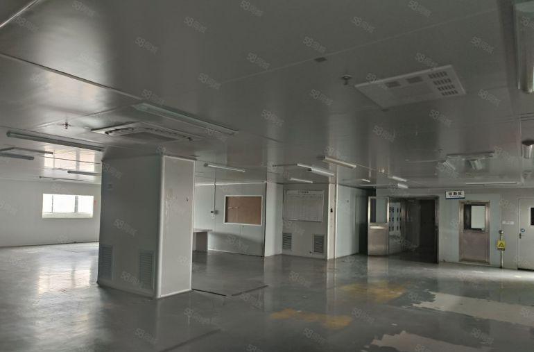 观澜樟阁两条国道之间 无尘车间  有超大空地