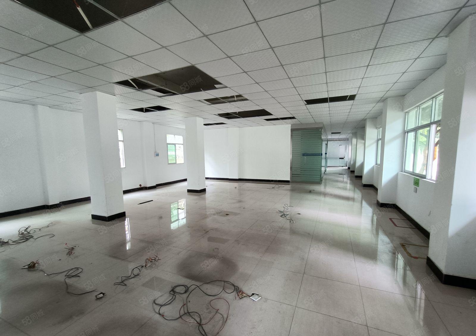 出租观澜环观中路独院厂房11500平优惠招租精装修现成水电。