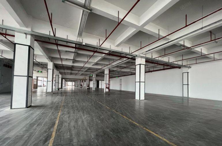 五吨电梯30000平方招租，带红本