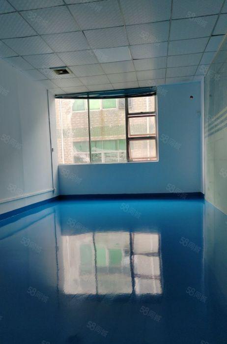 大浪布龙路780平带装修厂房低价出租