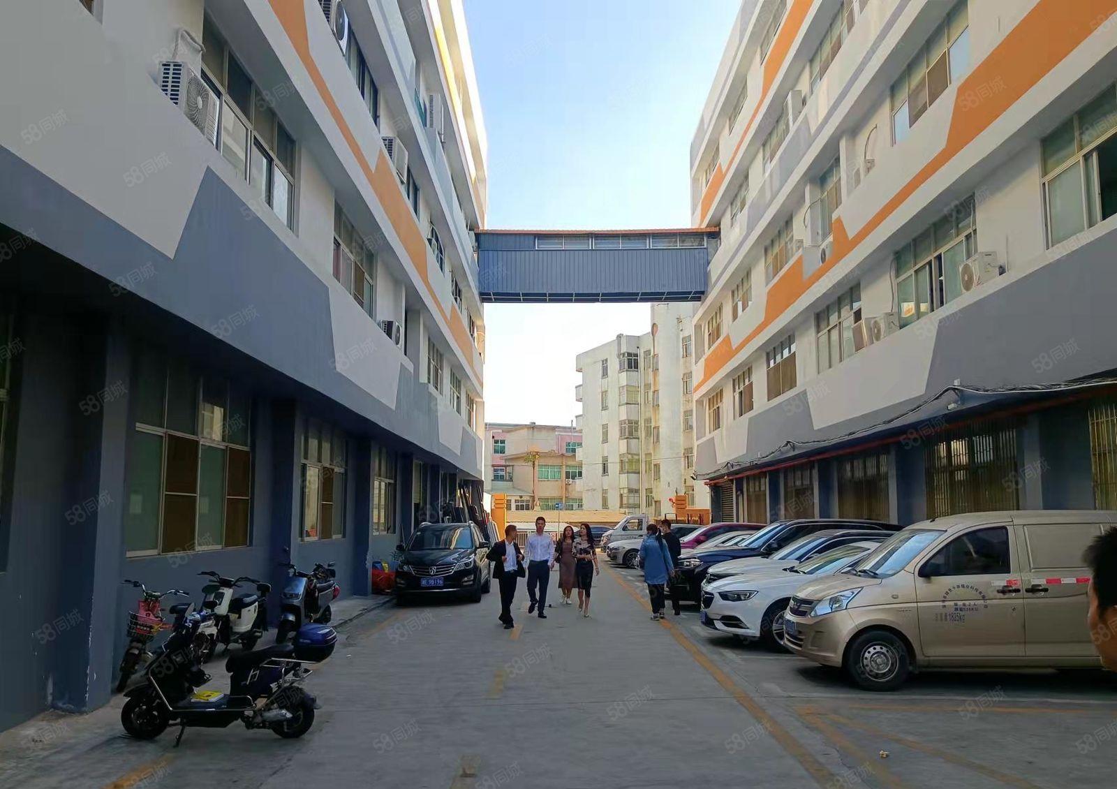 龙华天虹旁新出标准一楼厂房出租450平水电齐全