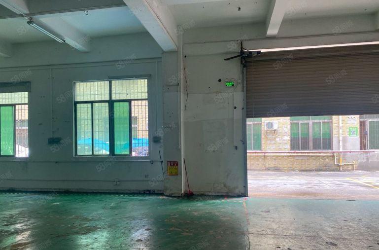 龙华大浪南路，一楼厂房588平出租，单价32元一平
