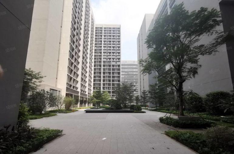 600平起分龙华观澜红本科技园实际面积出租2万平适合高新企业