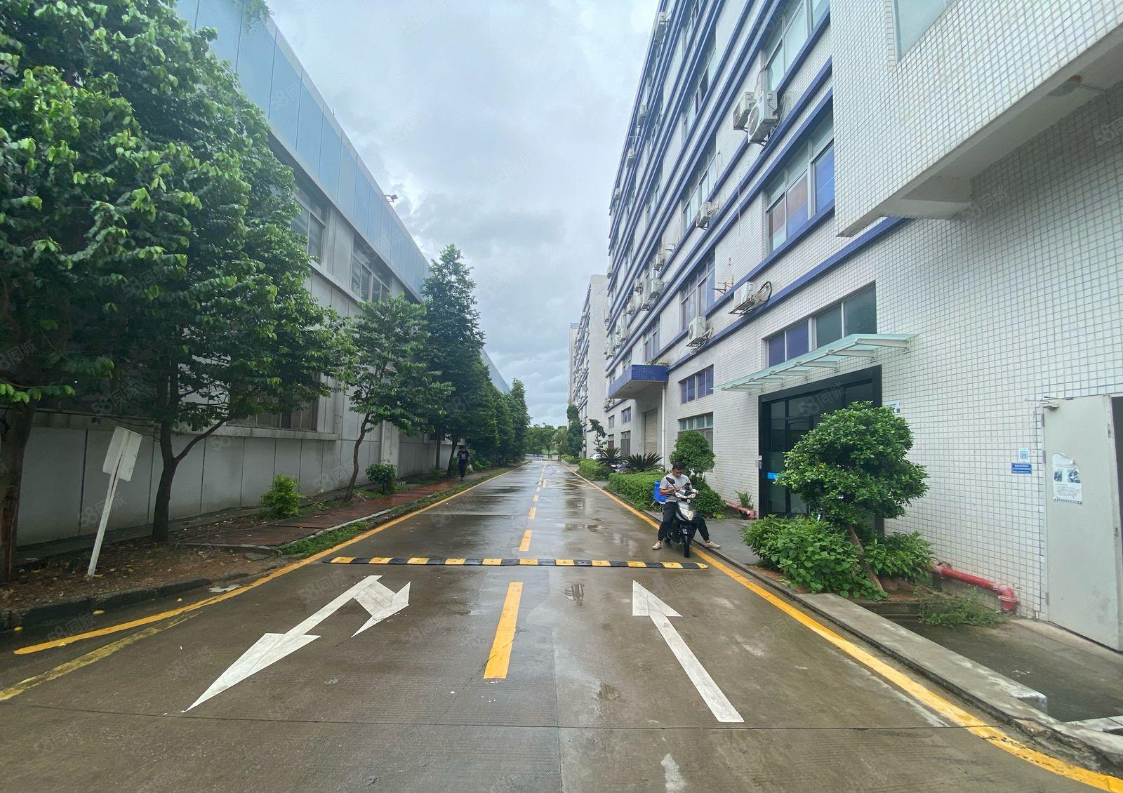 观澜库坑楼上1500平原房东带红本花园式厂房仓库出租