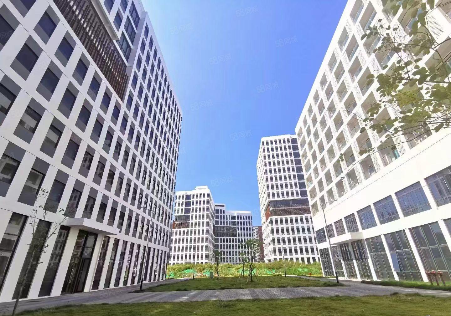 观澜全新高端数字创新园大小面积招租