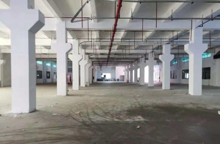 特价20元龙华一手房东一楼3000平带牛角空地大厂房仓库出租