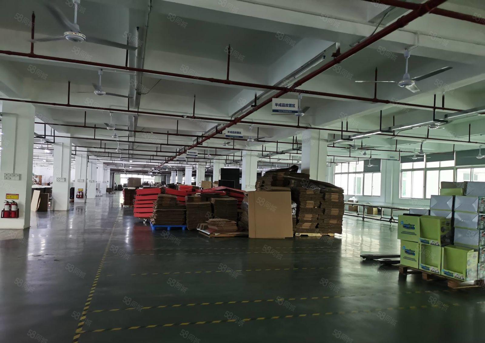 龙华大浪原房东科技园3000平带精装修电商办公室仓库厂房出租