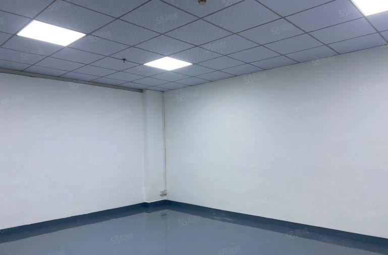 大浪小面积厂房，150平200平300平420平500平出租