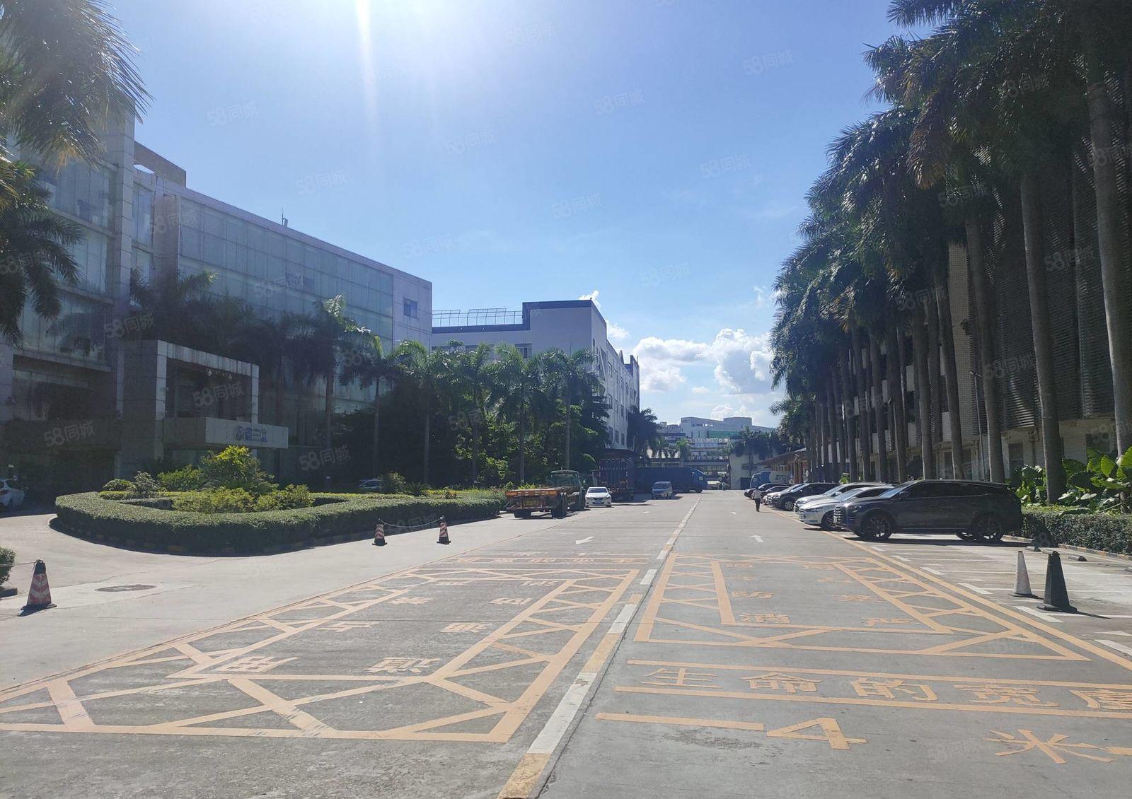 龙华清湖单层5000平红本厂房出租可分租工业园一楼仓库出租