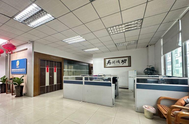 厂房出租，大浪新百丽工业园新出500平方精装修，水电齐全。