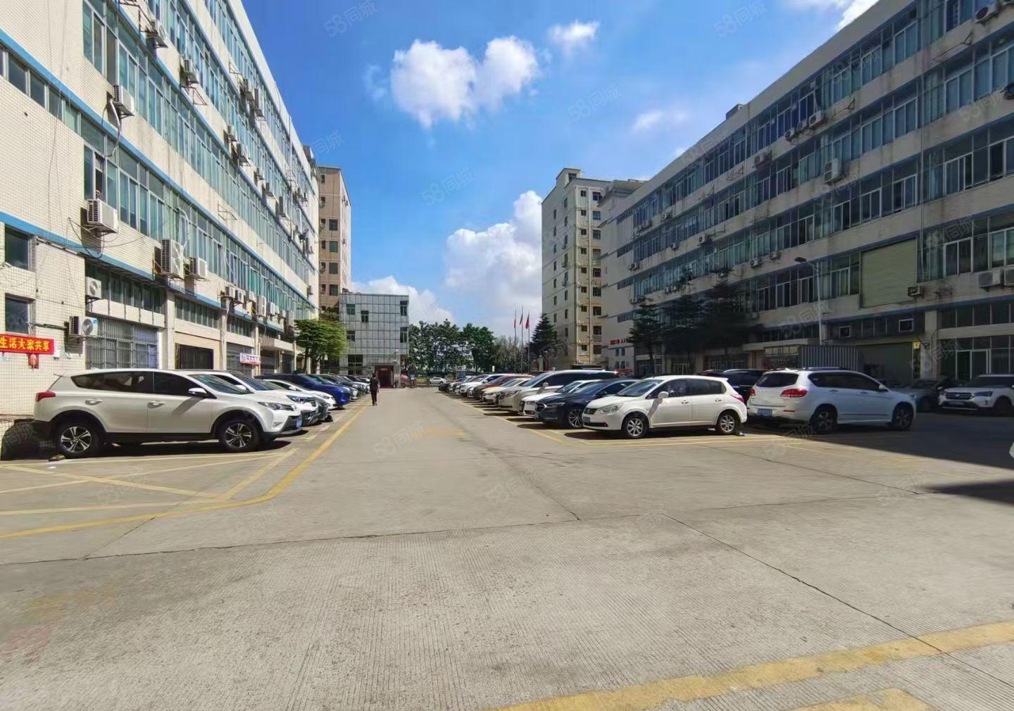 龙华天虹，精装修260平厂房，办公室出租（内部装修图）