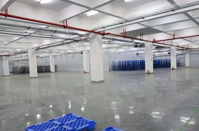 赠！免租期 龙华大浪新出标准厂房 大小面积可分 厂房仓库出租