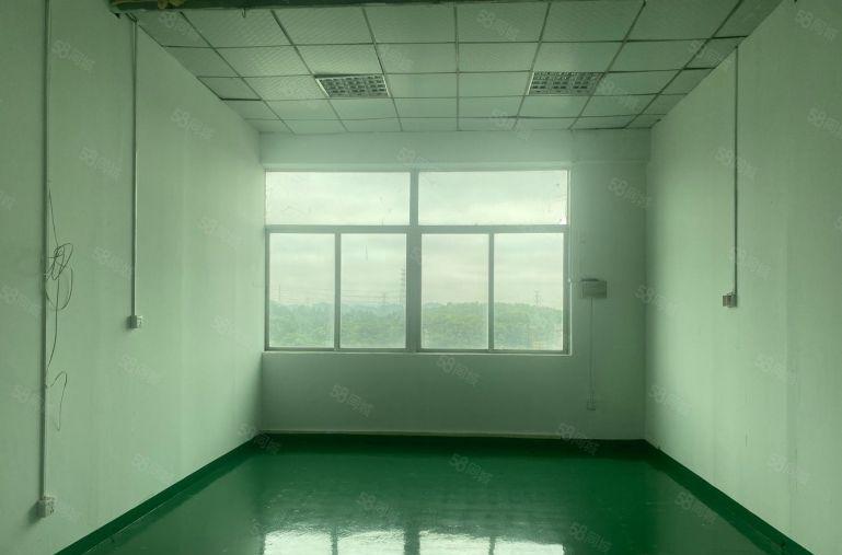 观澜樟坑径，原房东厂房500平出租，全新精装修