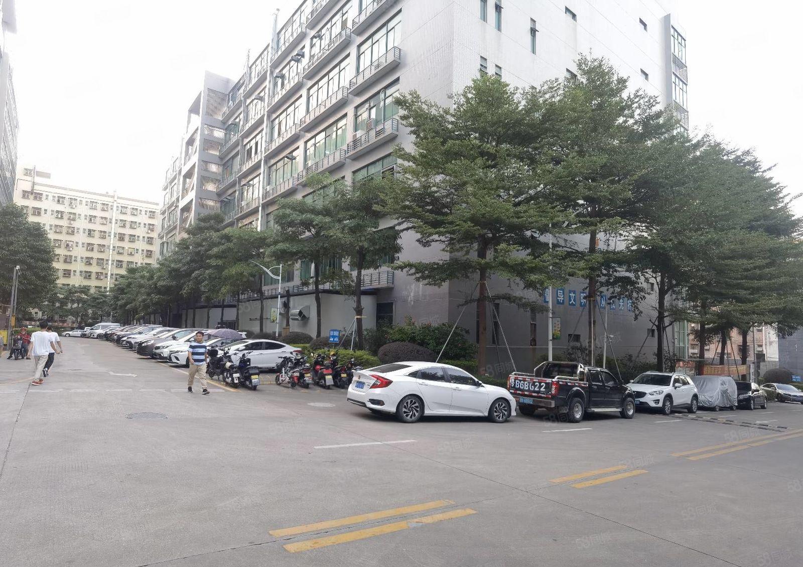 原房东！精装修！石岩龙大高速口1600平精装修带红本厂房出租