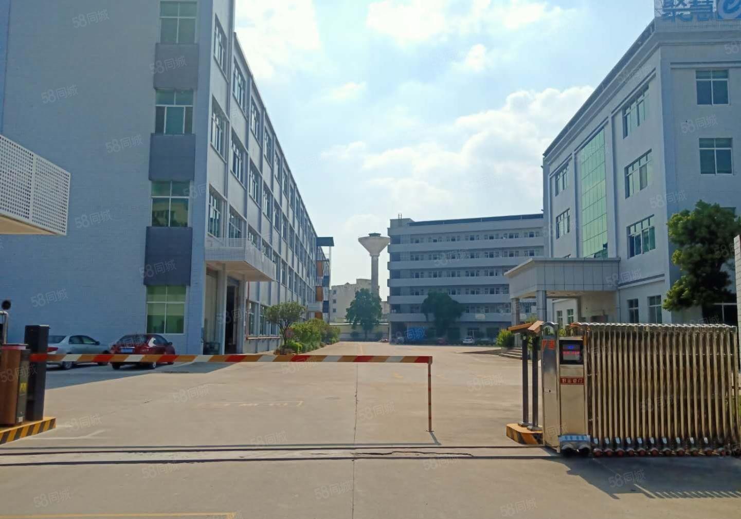 观澜高新园500平至5000平方一二楼仓库厂房出租独院可分租