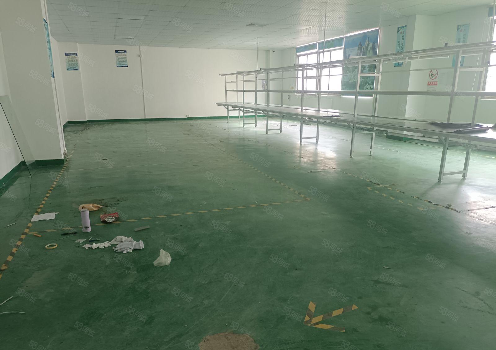 龙华原房东整栋6000平可分租200平，空地大，园区形象好。