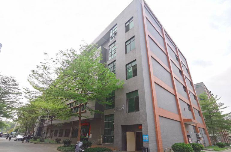 观澜桂花原房东楼上1200平现成装修红本厂房仓库出租无公摊