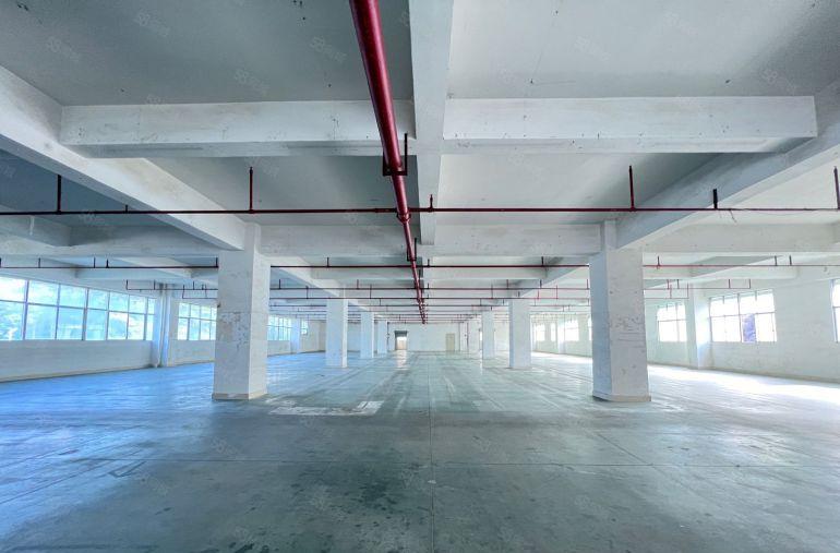 龙华清湖汽车站工业园厂房仓库出租2002000平大小可分租