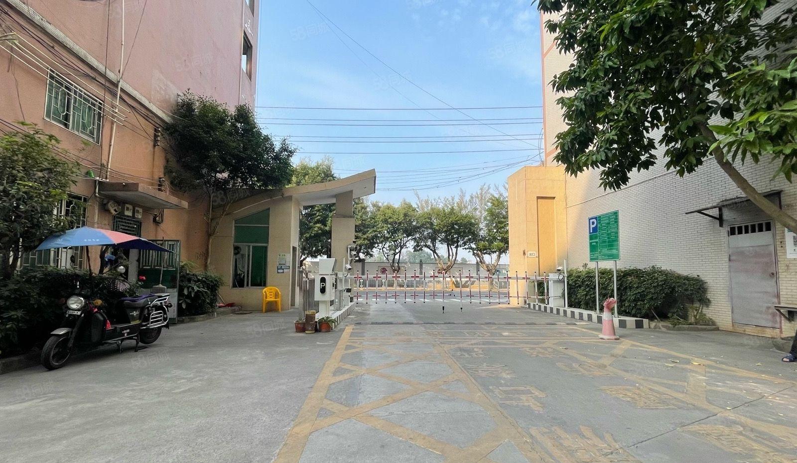 龙华观澜1万平方独门独院原房东8成使用率仓库厂房出租